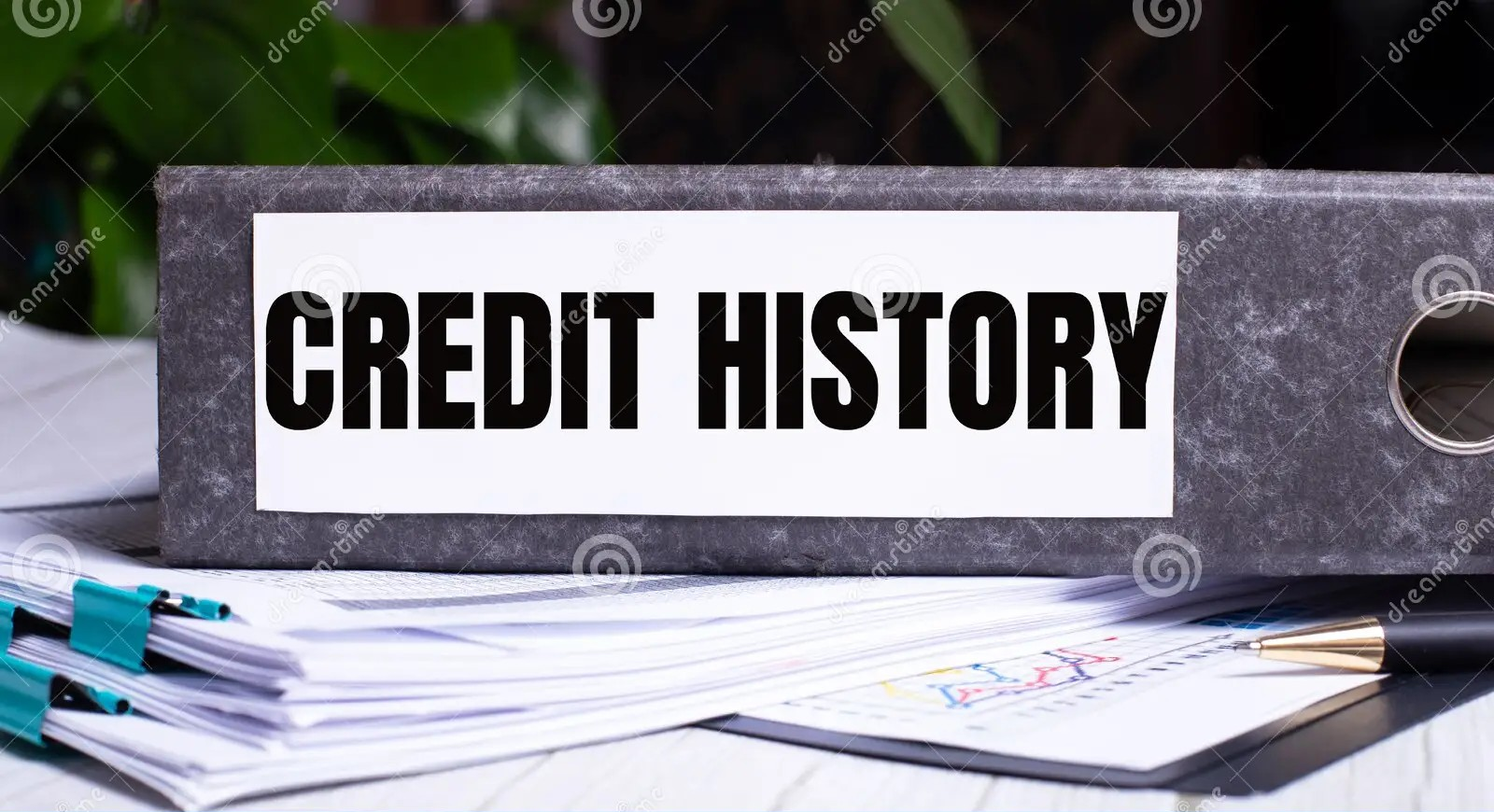 Length of Credit History