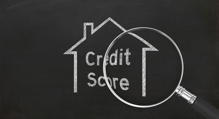 Affordable DIY Credit Program: The Financial Tool Everyone Should Use to Boost Their Credit Score